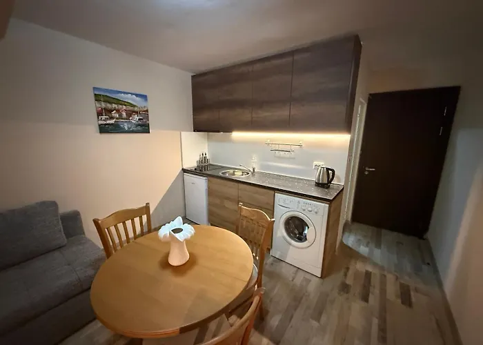 Casa Luba Sunny Pensiune