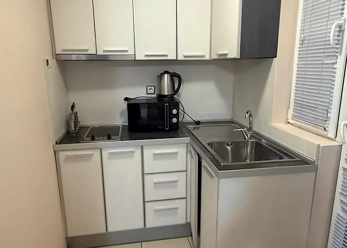 Casa Luba Sunny Pensiune 3*